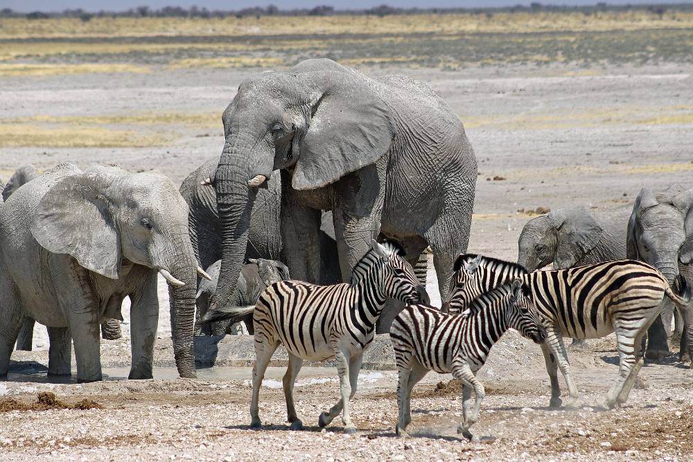 Namibia