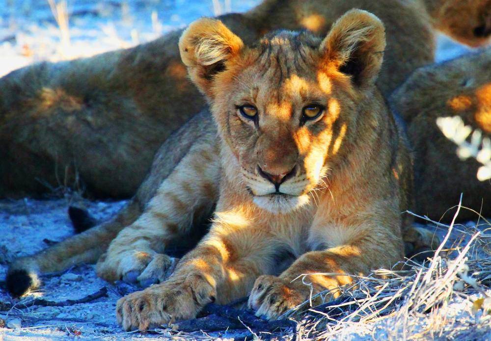 Namibia